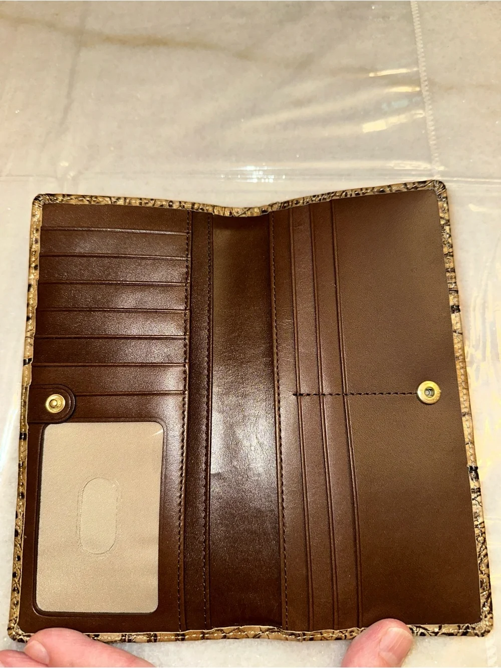 Brahmin sleek ady